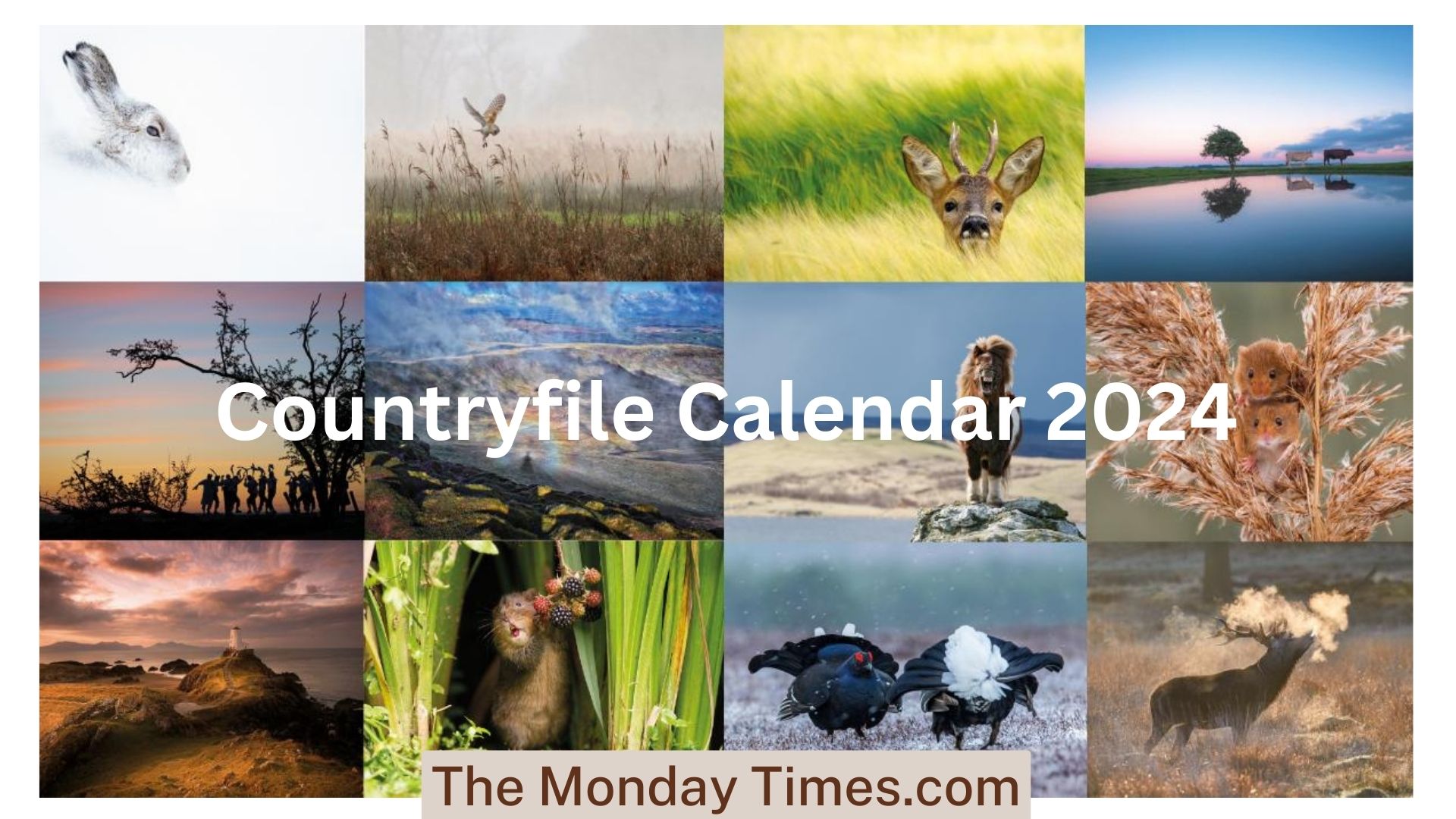 Countryfile Calendar 2024