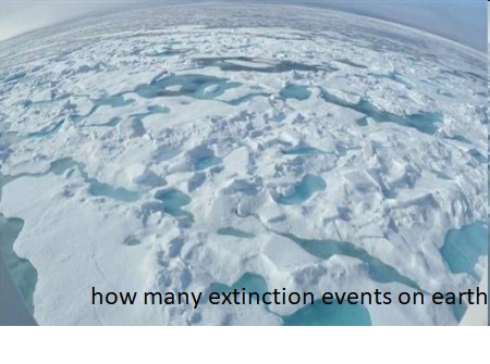 how many extinction events on earth