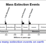 how many extinction events on earth